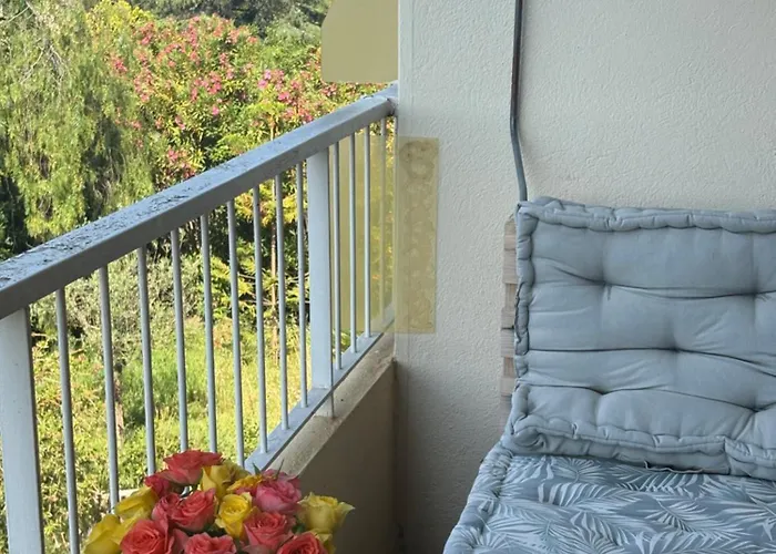 Lejlighed Superbe T3 Refait A Neuf Avec Vue Carqueiranne